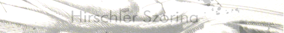 fej